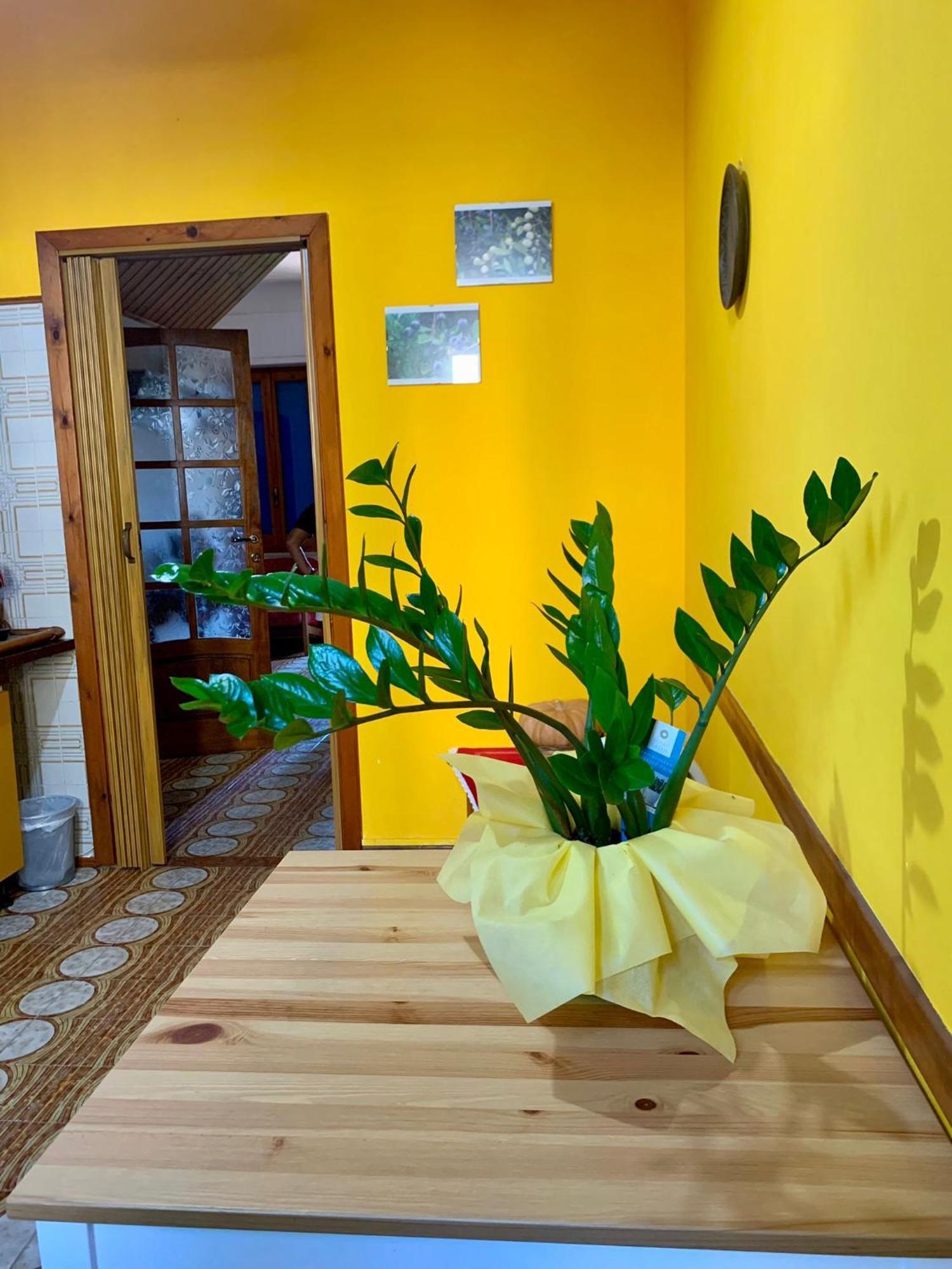 B & B Il Mirto 2 Sant'Antioco Exterior photo